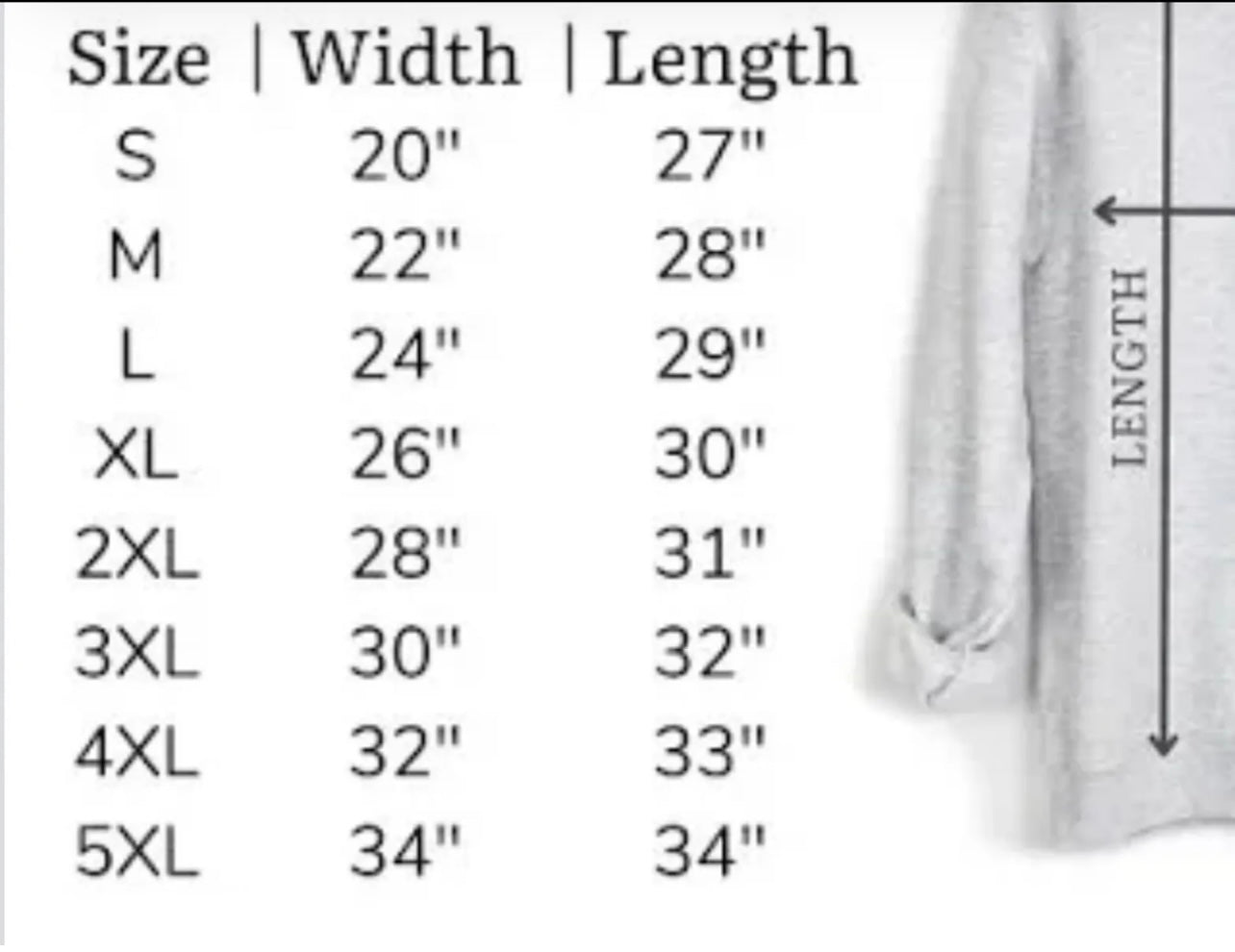 Boutique NFL Detroit Lion Pullover